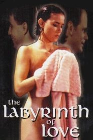 فيلم Il labirinto dei sensi مترجم للكبار فقط